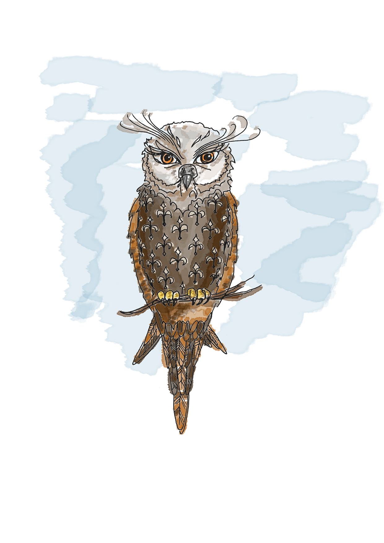 Eule/Owl